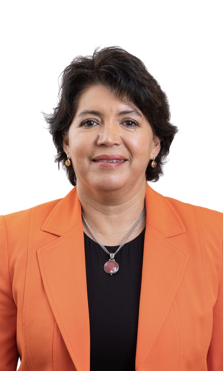 Yasna Provoste Campillay